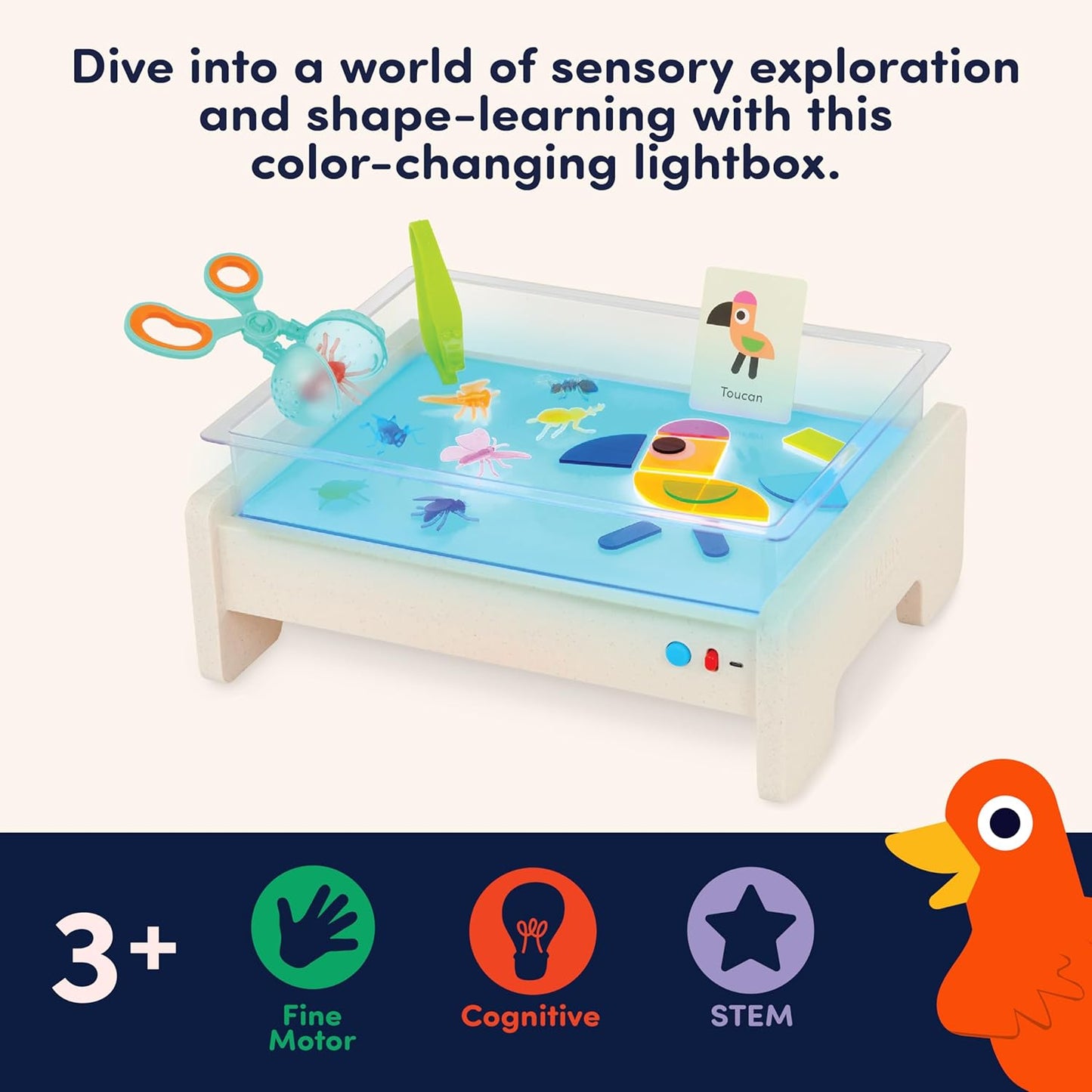 Educational Lightbox Toy Set