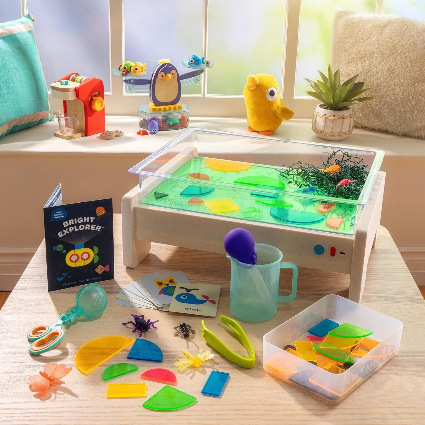Educational Lightbox Toy Set