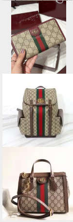 202539018-1 Ophidia GG Wallet and Backpack and Tote Bag