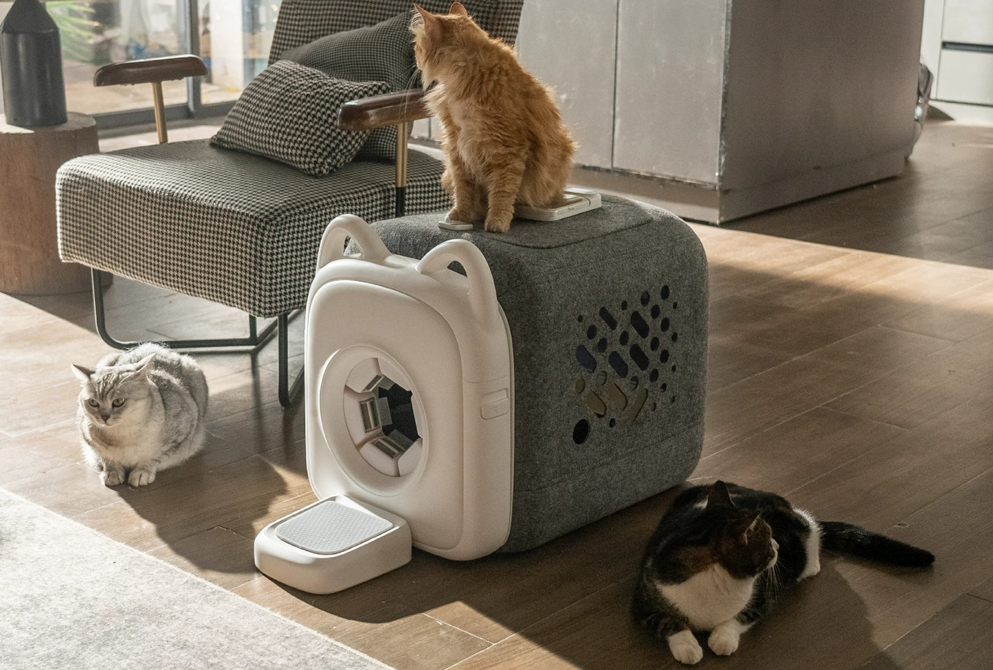 Automatic Cat Grooming House – Hair Removal, Treat Rewards & Easy Cleaning